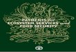 PES and Food Security. Agroforestry Rubber