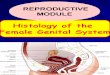 Histology of Female Genital System for Reproductive Module