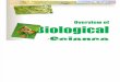 Overview of Biological Science