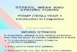 TSL3101-Lect3 Stress,Weakand Strong Forms