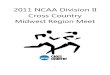 NCAA Midwest Region Championships-LSSU Itinerary