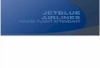 JetBlue Case Critique