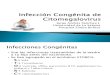 Infección Congénita de Citomegalovirus