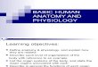 Basic Human Anatomy and Physiology