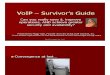 VoIP Survivors Guide