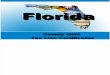 Florida County Held Tax Lien Certificates