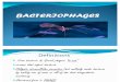 BACTERIOPHAGES 2