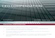 08. CEO Compensation - Quick Guide Series