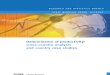 Determinants of Productivity Corss Country Analysis and Country Case Studies