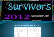 Survivors Math 2012