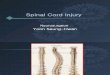 05_spinal cord injury