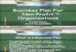 business plan for non-profitable organizations