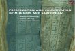 Nicola, G.L. Et Al. Conservation of Mummies and Sarcophagi. 2008