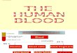 3 Human blood