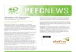 PEFC Newsletter 49 January 2011