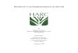 Biodiesel Crop Implementation in Hawaii HARC 2006