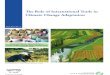 The Role of International Trade in Climate Change Adaptation