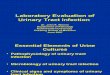 17-Laboratory Evaluation of Urinary Tr Act Infection v1- 3