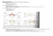 PBL 2.2 Summary Sheet