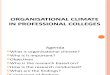 Organisational Climate in Professional Colleges