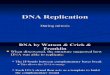 Day 2 Note--DNA Replication & Repair