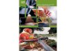 SabMiller India Annual Report 2010