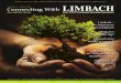 Connecting with Limbach - Issue 6