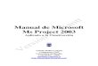 6126261 Manual Microsoft Project v21 Gantt