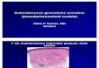 Subcutaneous Granuloma Annulare  (Pseudorheumatoid nodule). ,F 38, Ankles