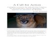 A Call for Action - eBook