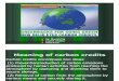 Afm Presentation on Carbon Credits