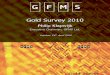Gold Survey 2010 Presentation_London_public