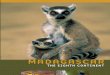 Madagascar: The Eighth Continent