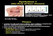 Epithelium I (the First of Four Tissues)