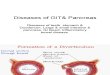 Diseases of GIT& Pancreas