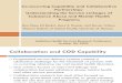 Claus.ahsr 2009.Collaborative Partnerships and COD Capability