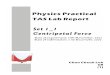 [SCI] Physics Full Lab Report - Centripetal Force
