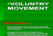 Final Voluntry Movement