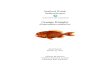 Seafood Watch Orange Roughy Report