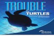 Trouble4Turtles WebFinal