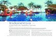 Indoneesia  - unistuste reis maailma veerele. Autor Riina Luik