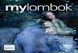 My lombok issue 014