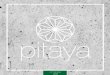 PITAYA - Catalogo joyeria