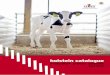 Semex UK - Holstein Sire Directory April 2015