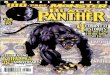Marvel : Black Panther v3 - Issue 36