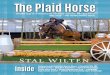 The Plaid Horse- The Young Horse Issue- May 2015