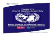Youth Pre World Health Assembly: Welcome Package