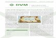 DVM-Nachrichten 63