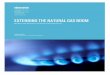 Natural Gas Tech Sheet