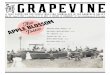 The Grapevine, May 28 – June 11, 2015